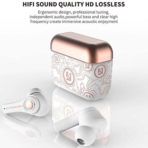 TS100 Wireless Earbuds