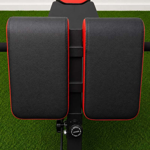 50kg Barbell + Workout Bench