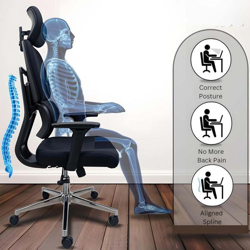 Orthopaedic Office Chair