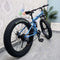 Foldable Fat Bike with Dual Suspension