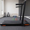 Foldable Electric Treadmill