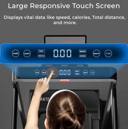 Foldable Electric Treadmill