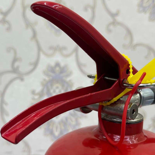 4Kg - Dry Powder Fire Extinguisher