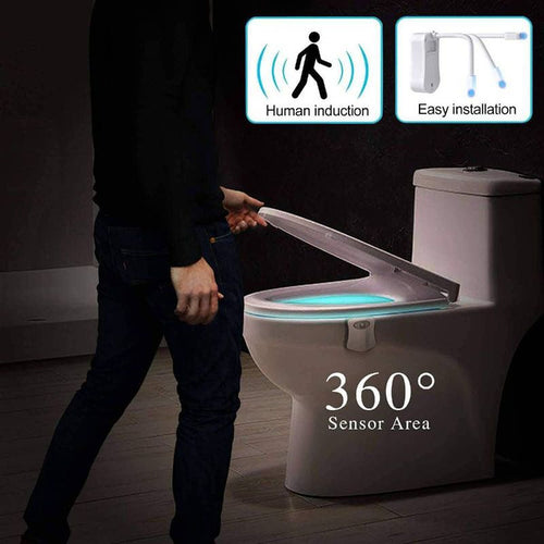 Toilet LED Nightlight with Motion Sensor